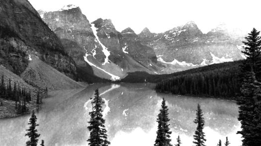 10450290_803476629665315_7794700133203142056_o