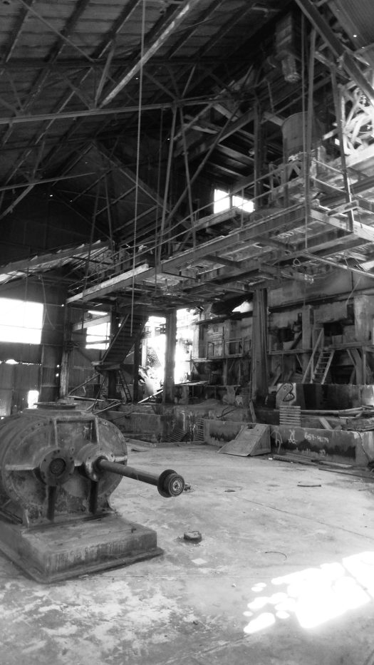 1149307_643378642341782_29345818_o